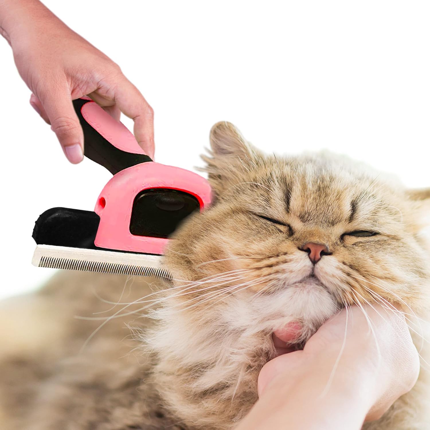 SunGrow Dog and Cat Deshedding Brush with stainless steel blade